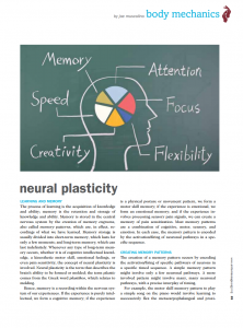 2011 neural plasticity