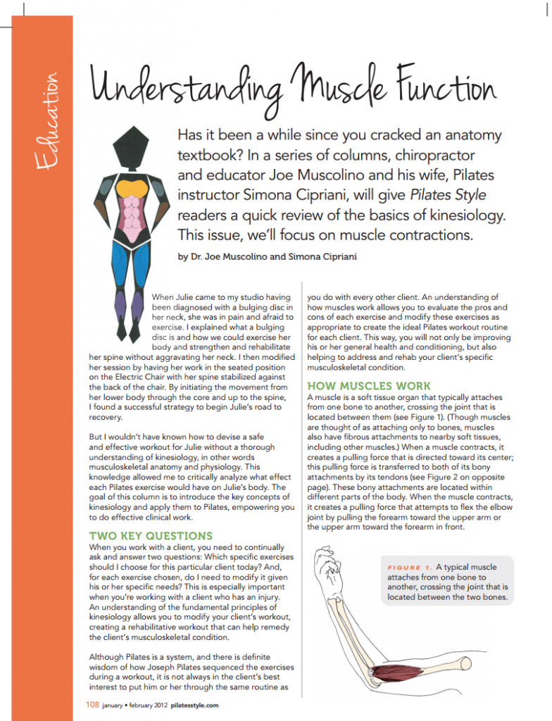 Article - Understanding Muscle Function - Learn Muscles
