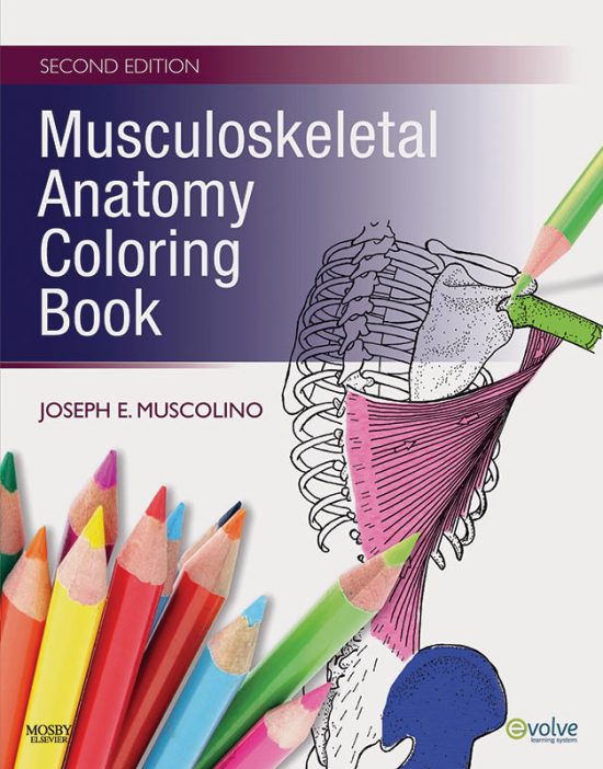 Musculoskeletal Anatomy Coloring Book, 3rd Edition Learn Muscles