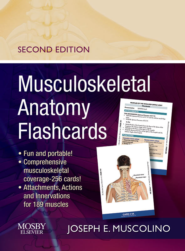Musculoskeletal Anatomy Flashcards, 2nd Edition Learn