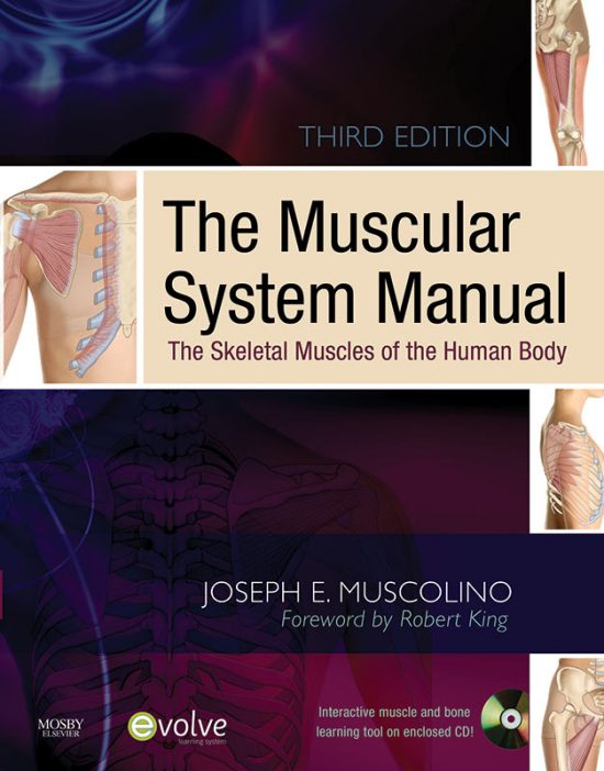 CE - Muscular System Manual Book Home Study Course - Learn Muscles