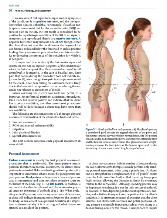 Manual Therapy For The Low Back And Pelvis A Clinical Orthopedic Approach Learn Muscles