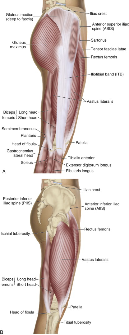 iliotibial band friction syndrome causes pain at the distal lateral thigh over the lateral epicondyle of the femur