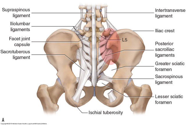 til generation Omgivelser What are the causes of sacroiliac joint dysfunction?