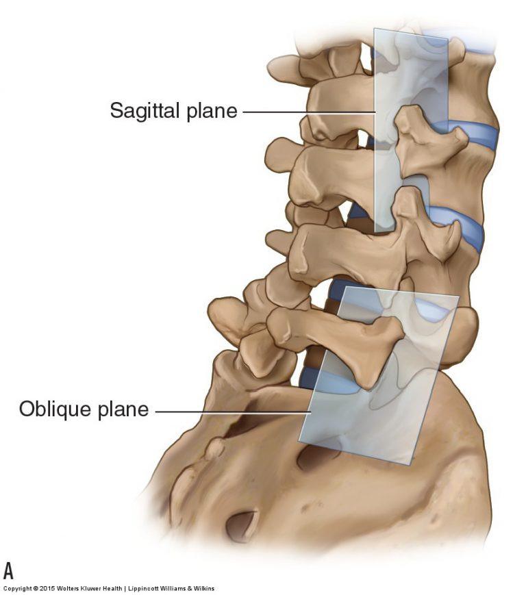 Joints of the Lumbar Spine (disc & facet) and Pelvis