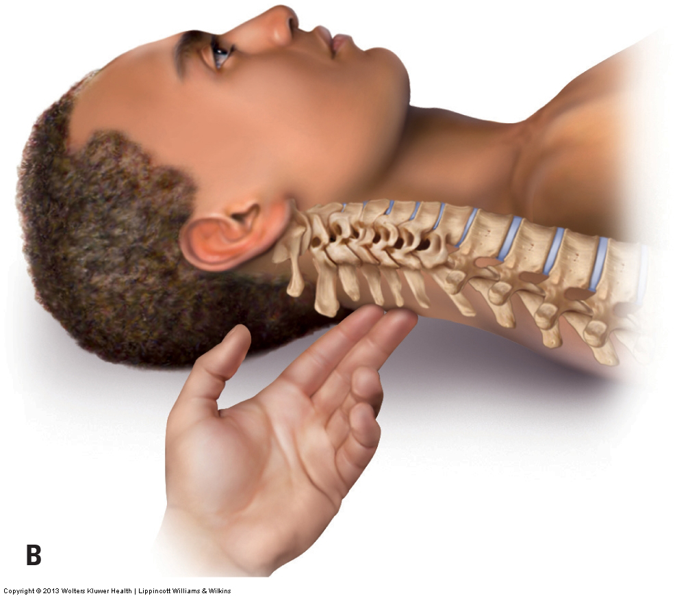 palpation of the spinous processes of the cervical spine with the client supine