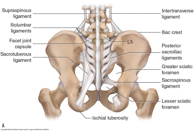 What Causes Sacroiliac Joint Degeneration