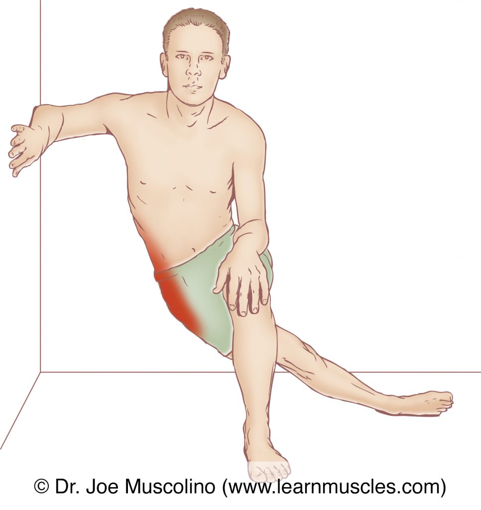 The gluteus minimus is stretched by extending the thigh at the hip joint behind the body and then adducting it. The wall is used for balance.