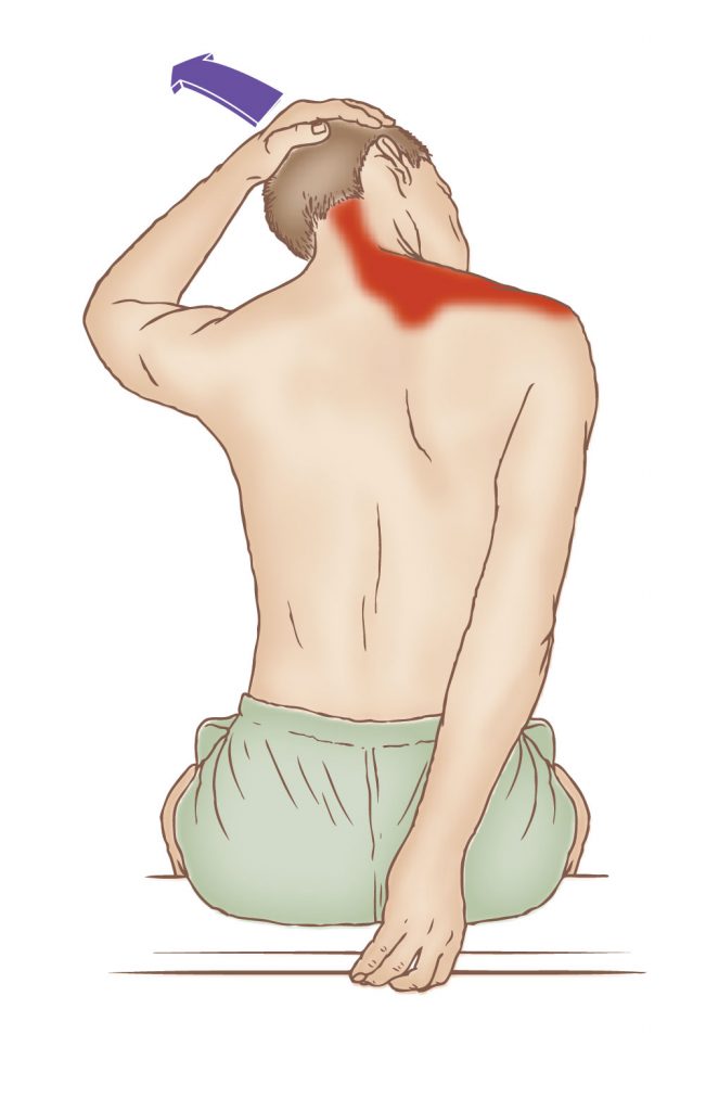 PhysioMotion Upper Trapezius Stretch