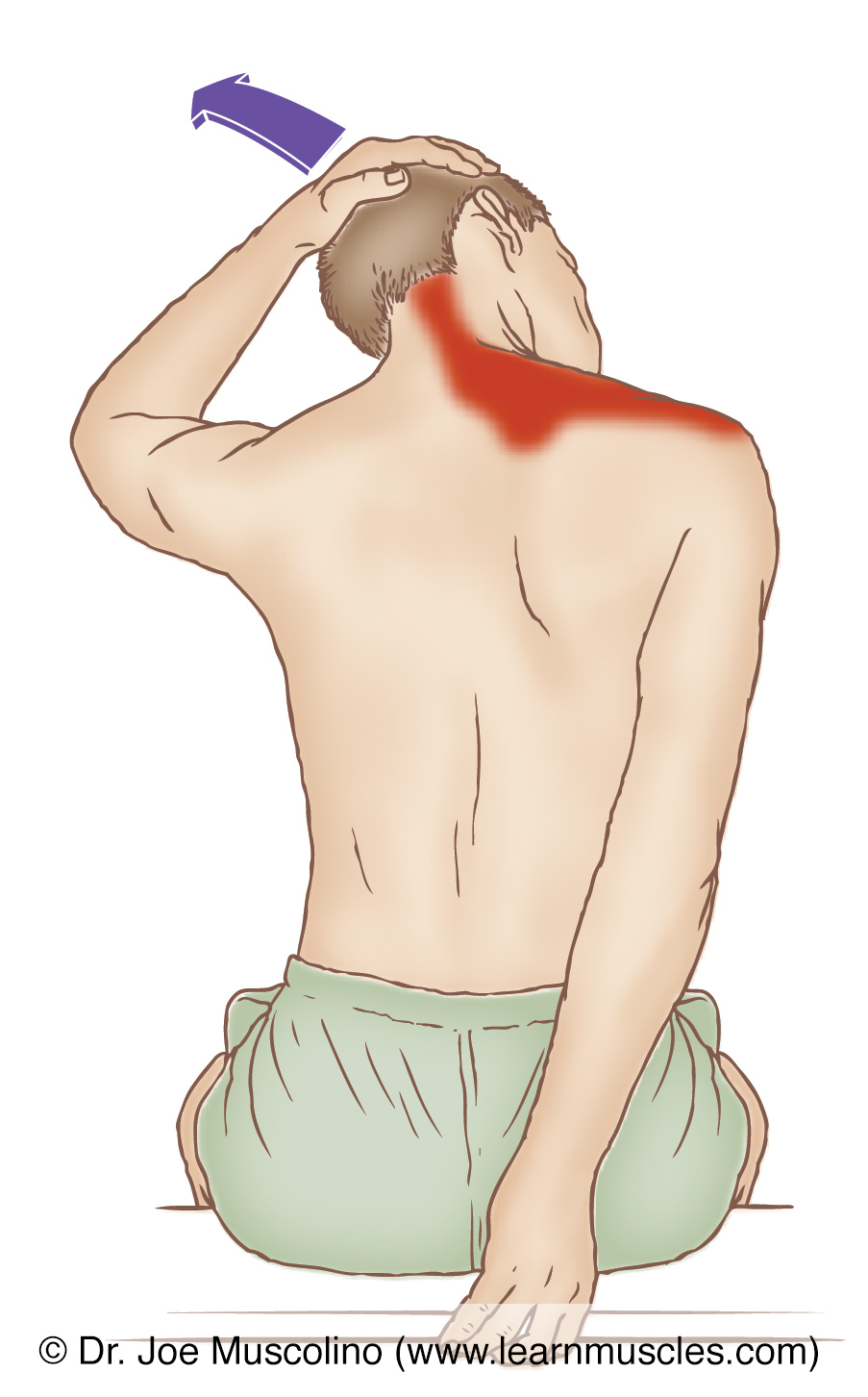 Upper Trapezius Stretch 7 Specific Upper Back Stretches For Back Pain