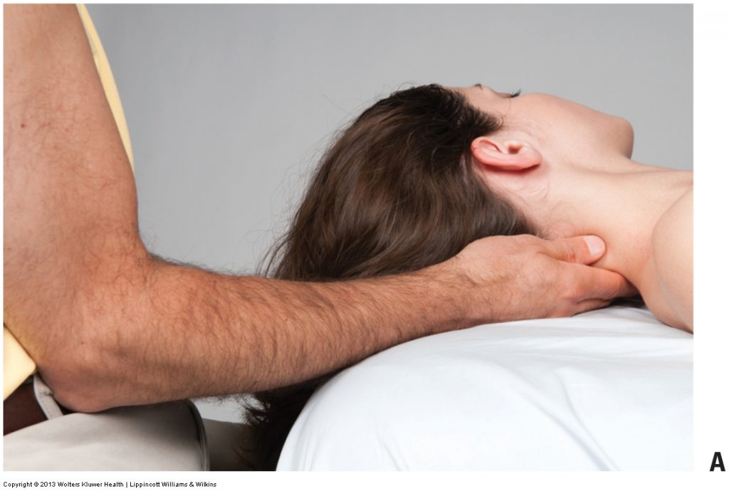 massage and cancer-related fatigue