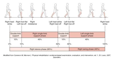 Walking as a Rehabilitation Exercise for Patients with Low Back Pain