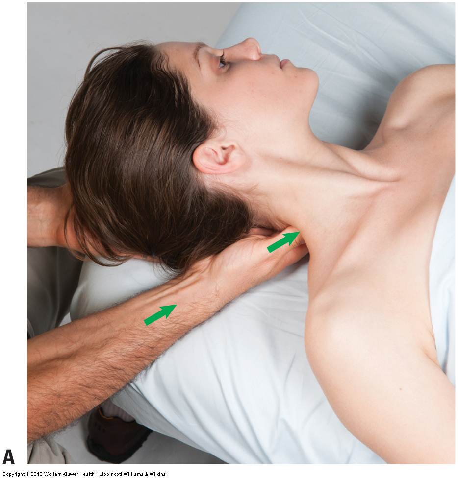 Permission Joseph E. Muscolino. Advanced Treatment Techniques for the Manual Therapist: Neck (2015).