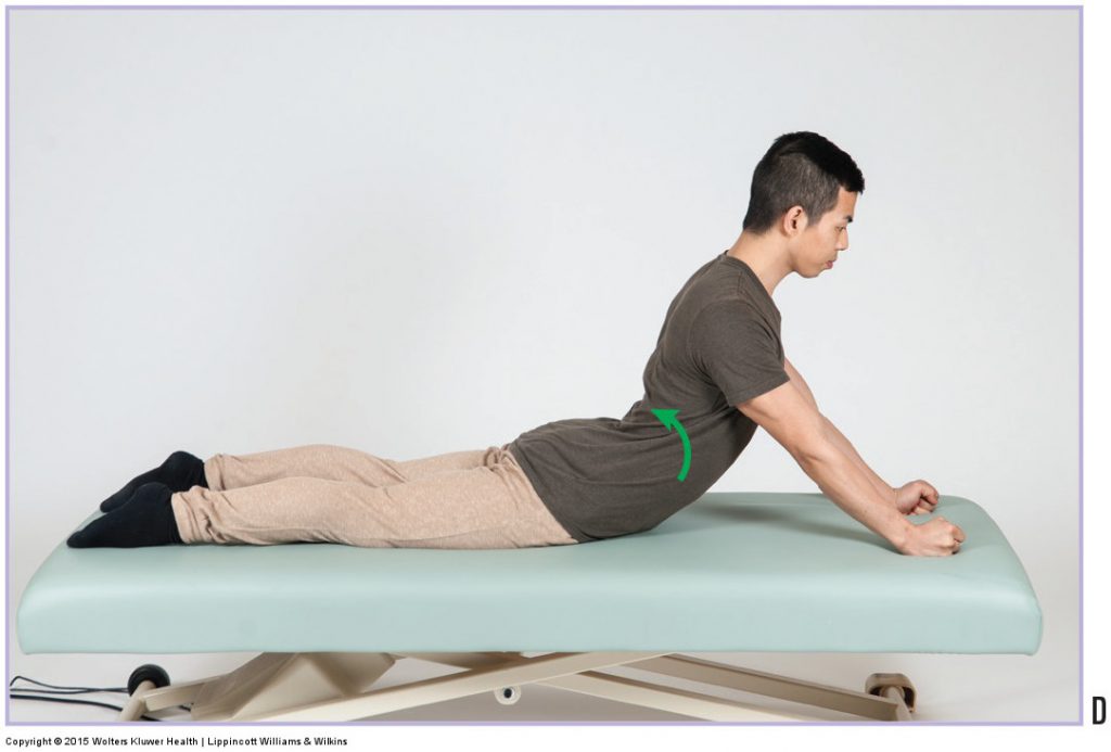 Back Extension Exercise. Permission Joseph E. Muscolino. Orthopedic Manual Therapy - A Clinical Orthopedic Approach (2015)