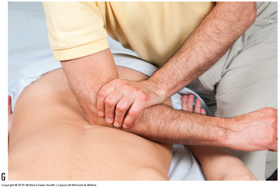 Permission Joseph E. Muscolino. Manual Therapy for the Low Back and Pelvis - A Clinical Orthopedic Approach (2013).
