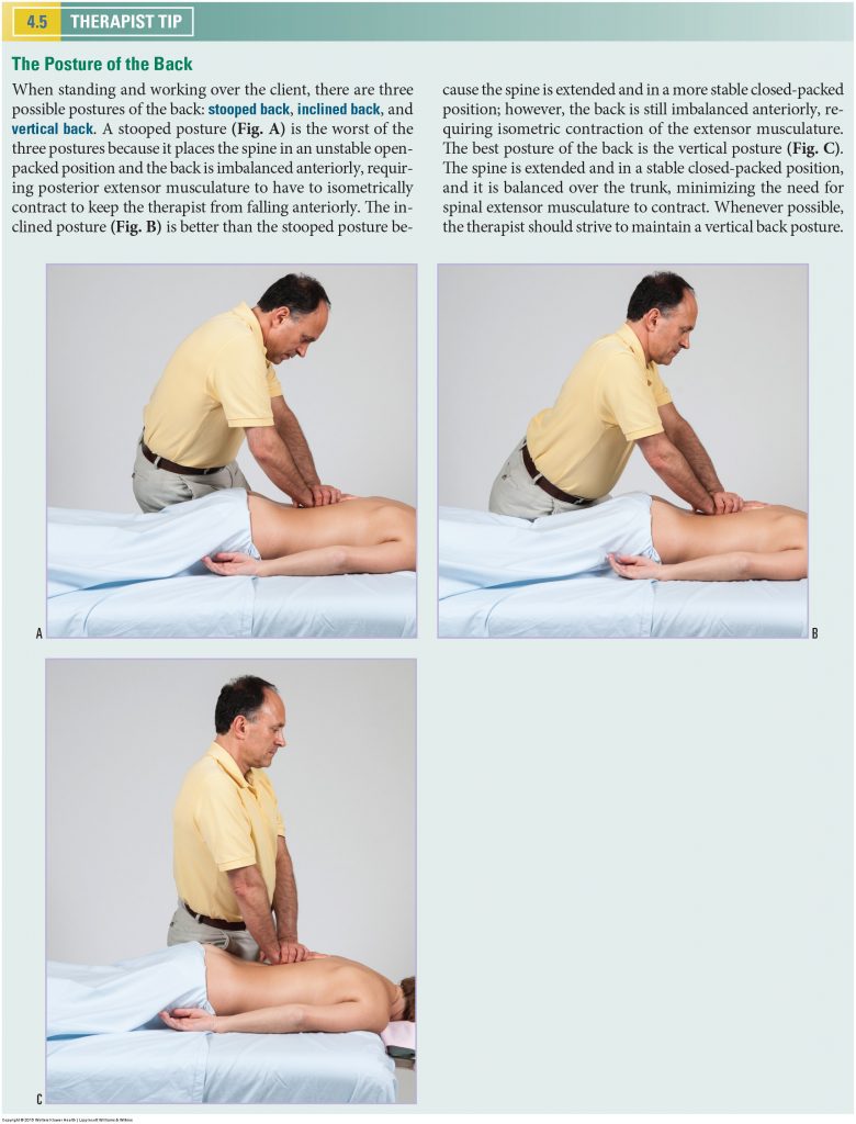 Back Postures. Permission Joseph E. Muscolino. Manual Therapy for the Low Back and Pelvis - A Clinical Orthopedic Approach (2013).