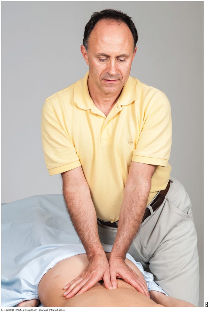 Permission Joseph E. Muscolino. Manual Therapy for the Low Back and Pelvis - A Clinical Orthopedic Approach (2015).