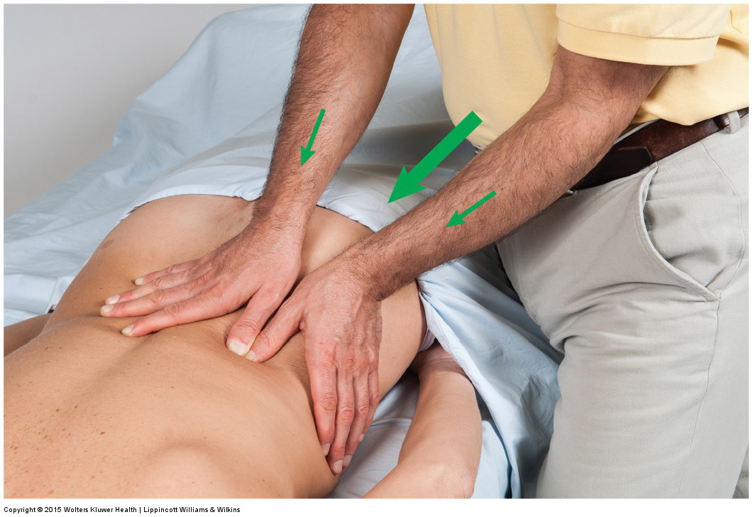 Permission Joseph E. Muscolino. Manual Therapy for the Low Back and Pelvis - A Clinical Orthopedic Approach (2015).