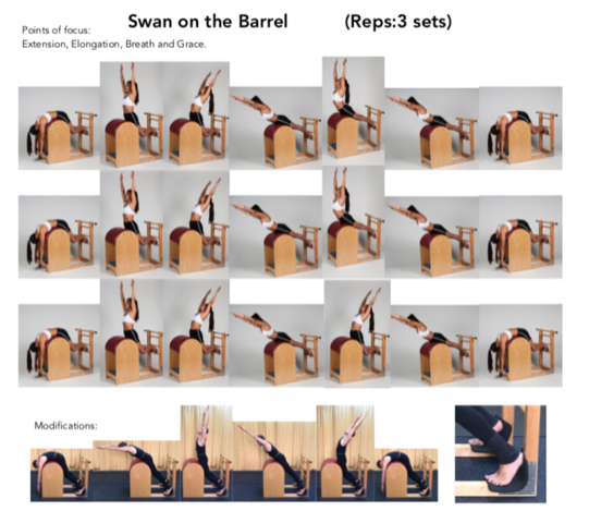 Figure 12. The Swan on the Ladder Barrel Pilates Apparatus Exercise. Permission Simona Cipriani. The Art of Control Pilates Studio, Stamford, CT, USA.