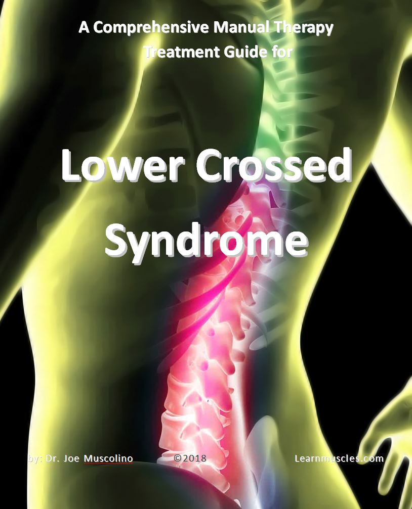 Are You Living with Lower Crossed Syndrome? Physical Therapy Can Help