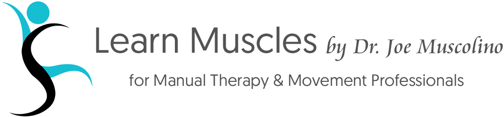 LearnMuscles Continuing Education (LMCE) video streaming subscription service for manual therapists and movement professionals. 