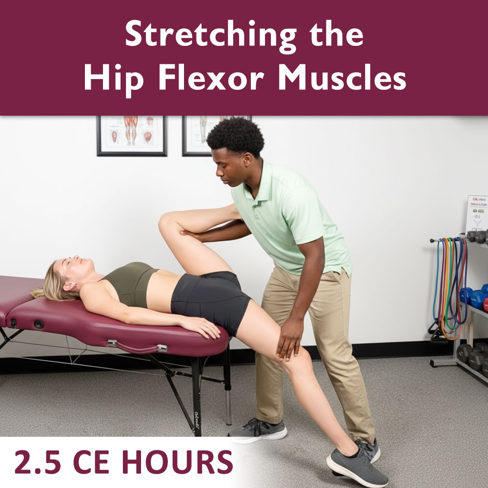 Stretching the Hip Flexor Muscles – Online CE Course (2.5 CE Hours)
