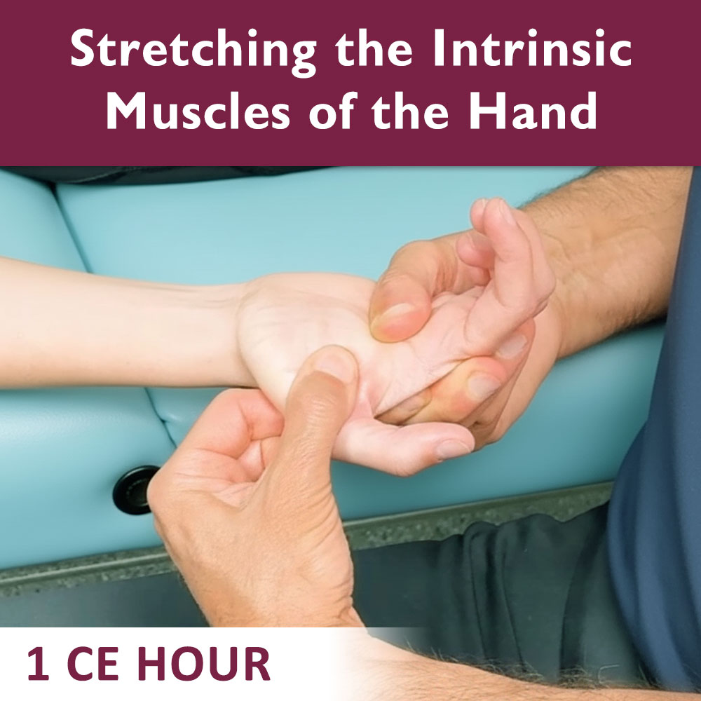 Stretching the Intrinsic Muscles of the Hand – Online CE Course (1 CE Hour)