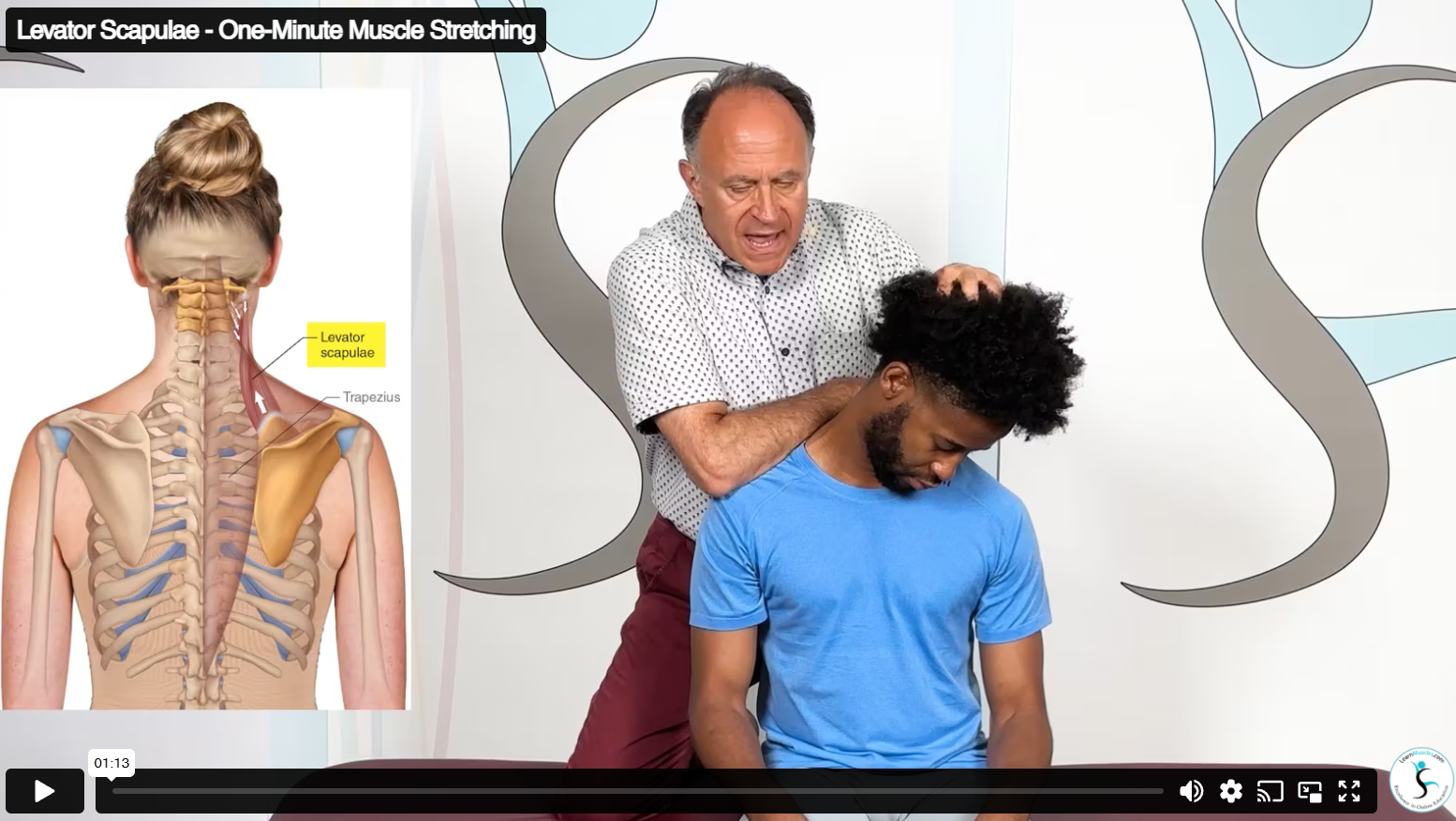 Stretching the Muscles of the Shoulder Girdle – Online CE Course (2 CE ...